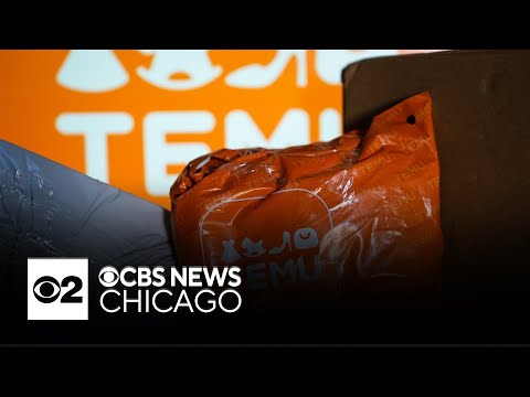 CBS 2 Investigator Dorthy Tucker on Temu warning